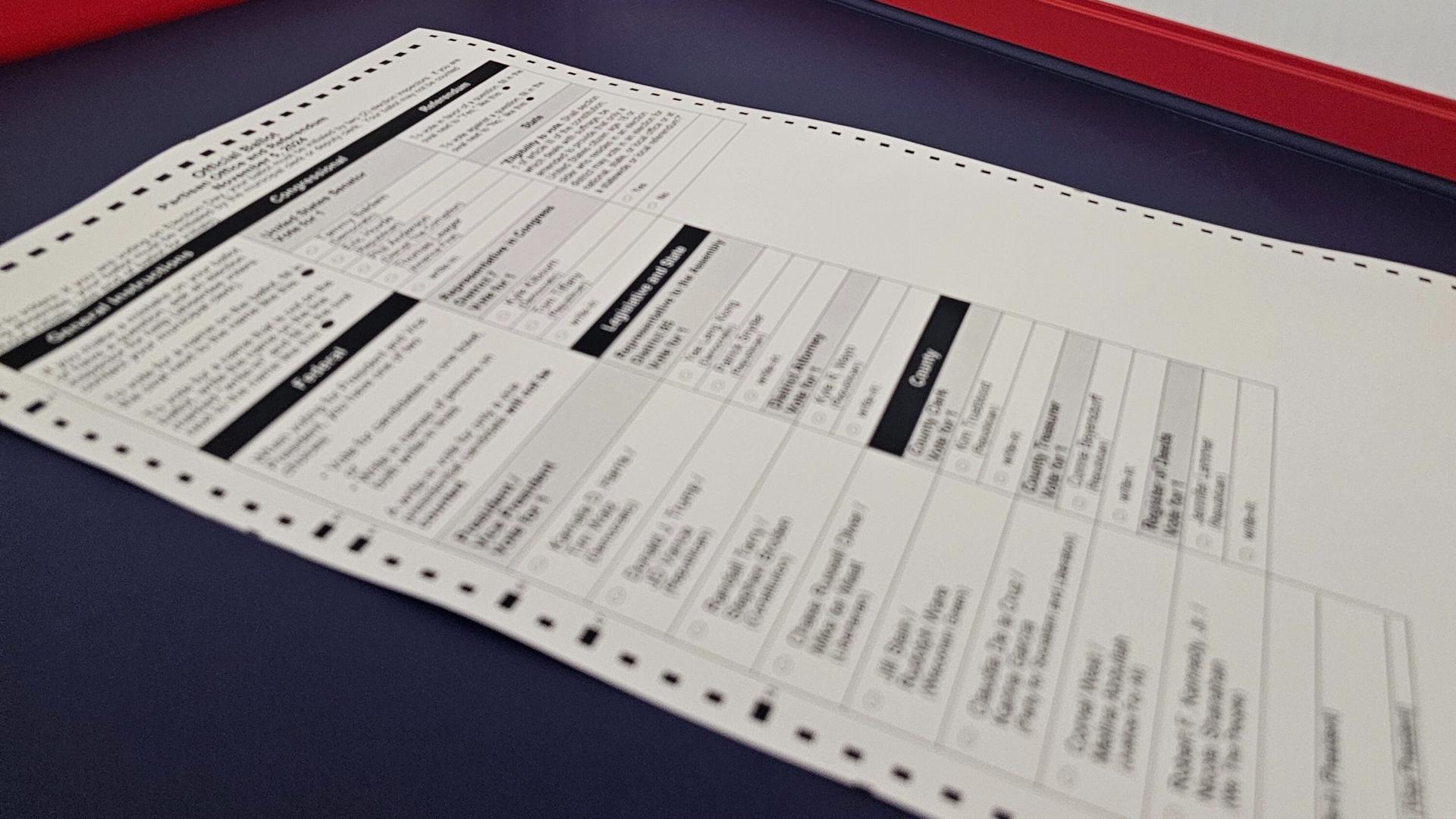 New election procedures in Madison made repeat of 2024 snafu ‘basically impossible’