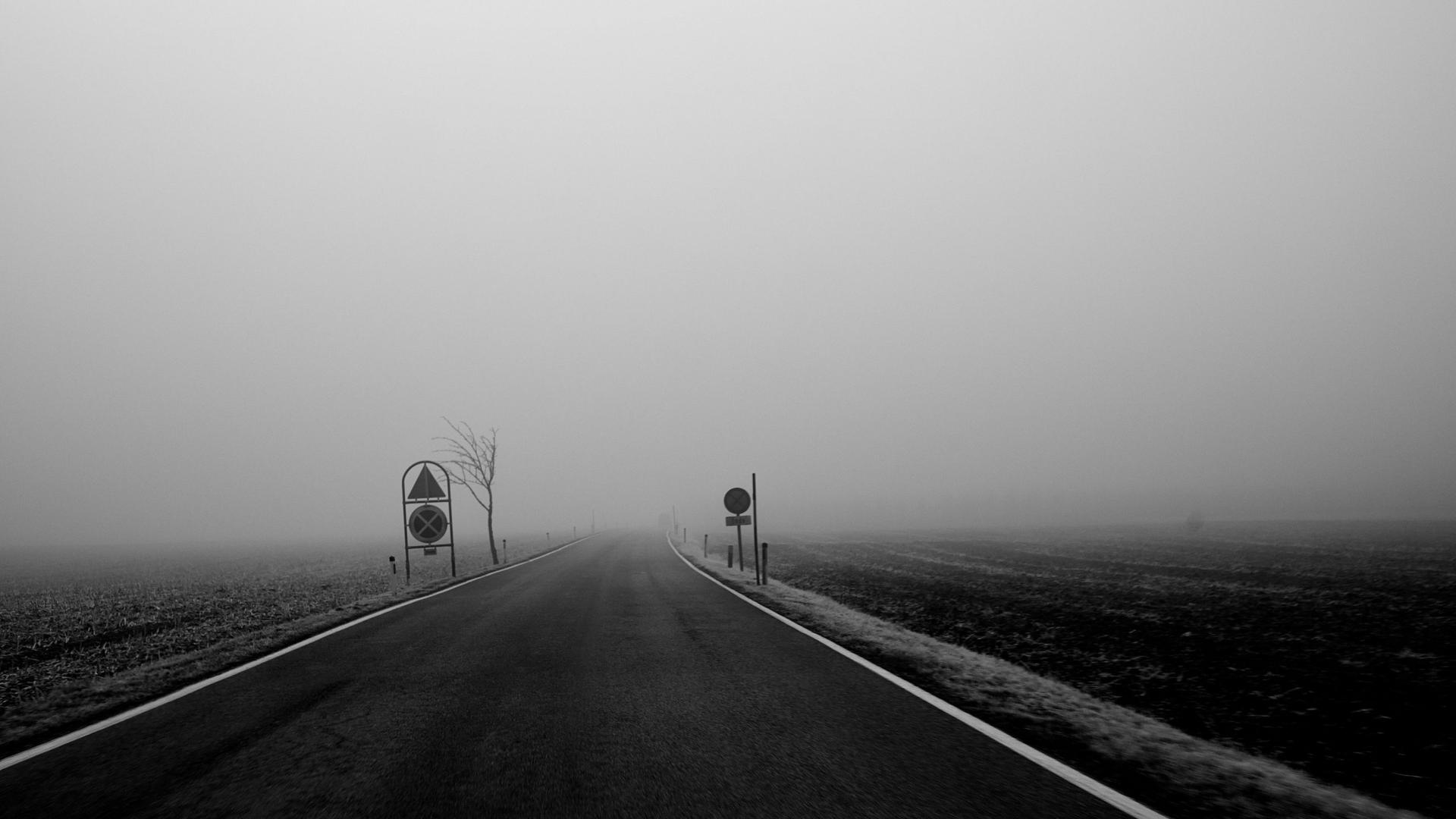 Dangerous Driving in Dense Fog