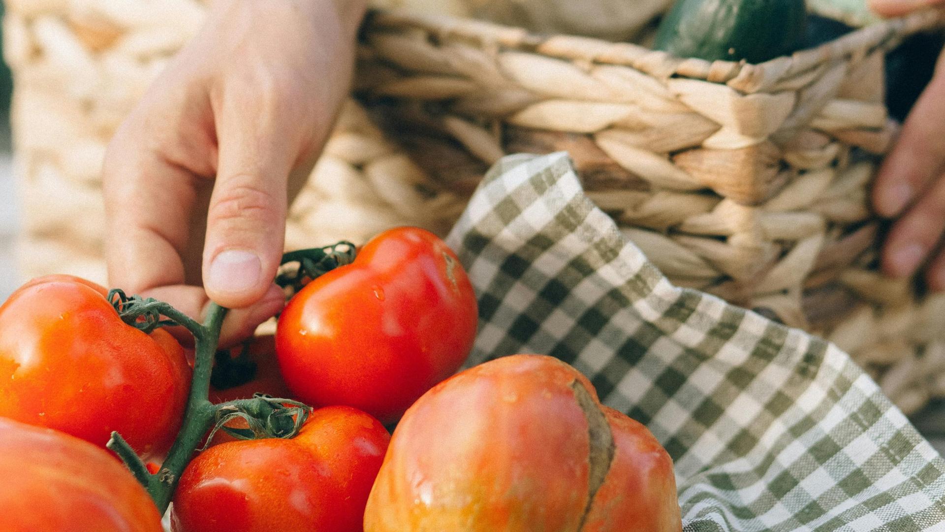 Local Farms Get Funds For Strengthening Food Systems