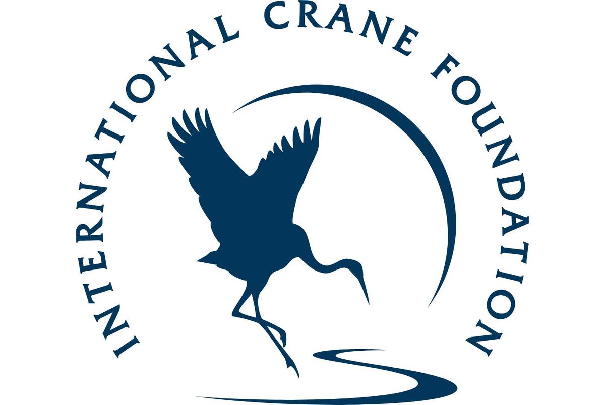 Cranes Over Wisconsin