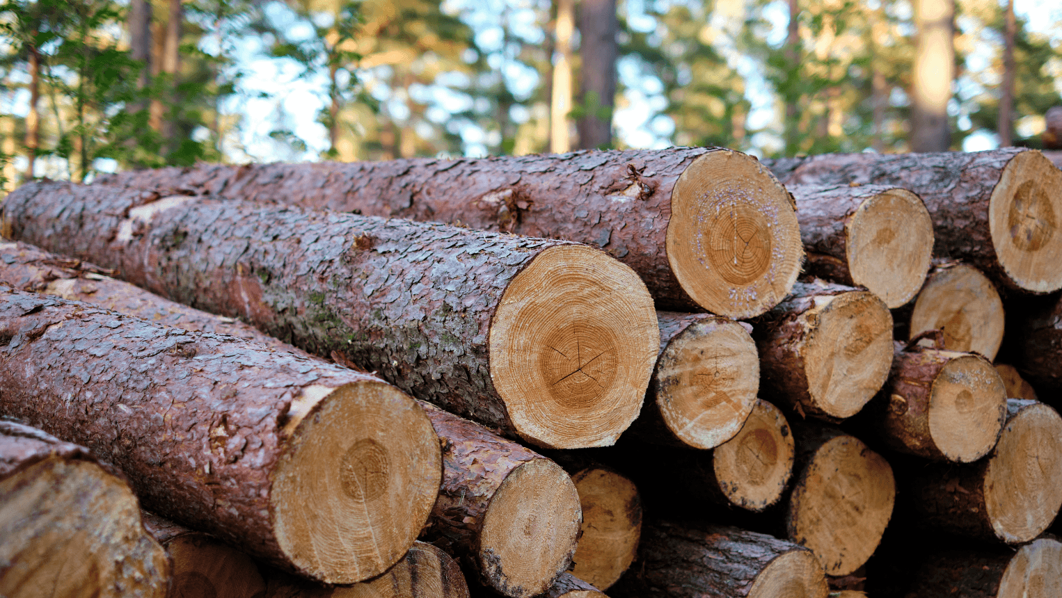 Evers signs Forestry Revitalization Act into law