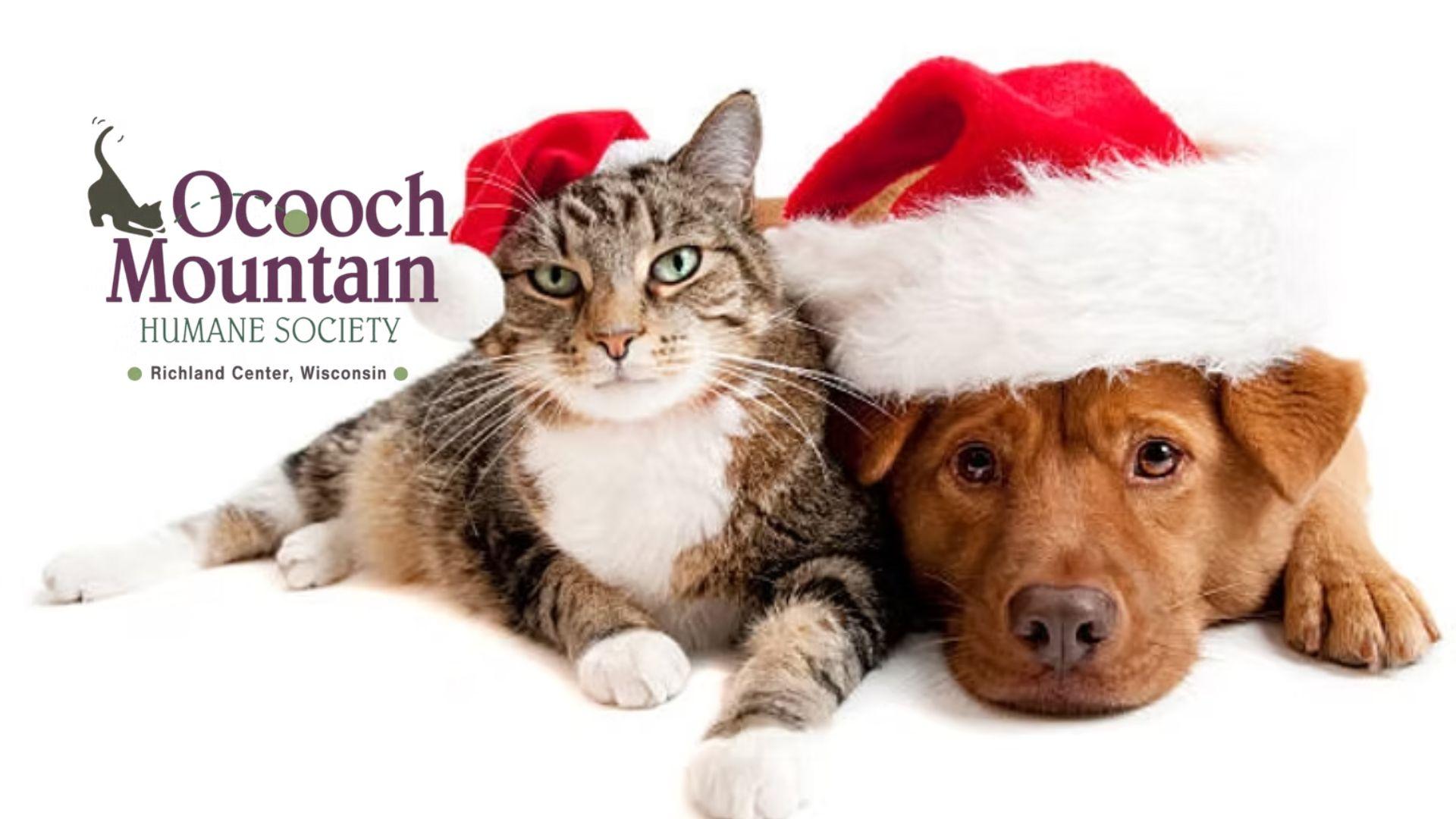 Paws Fur the Holidays fundraiser to be held today