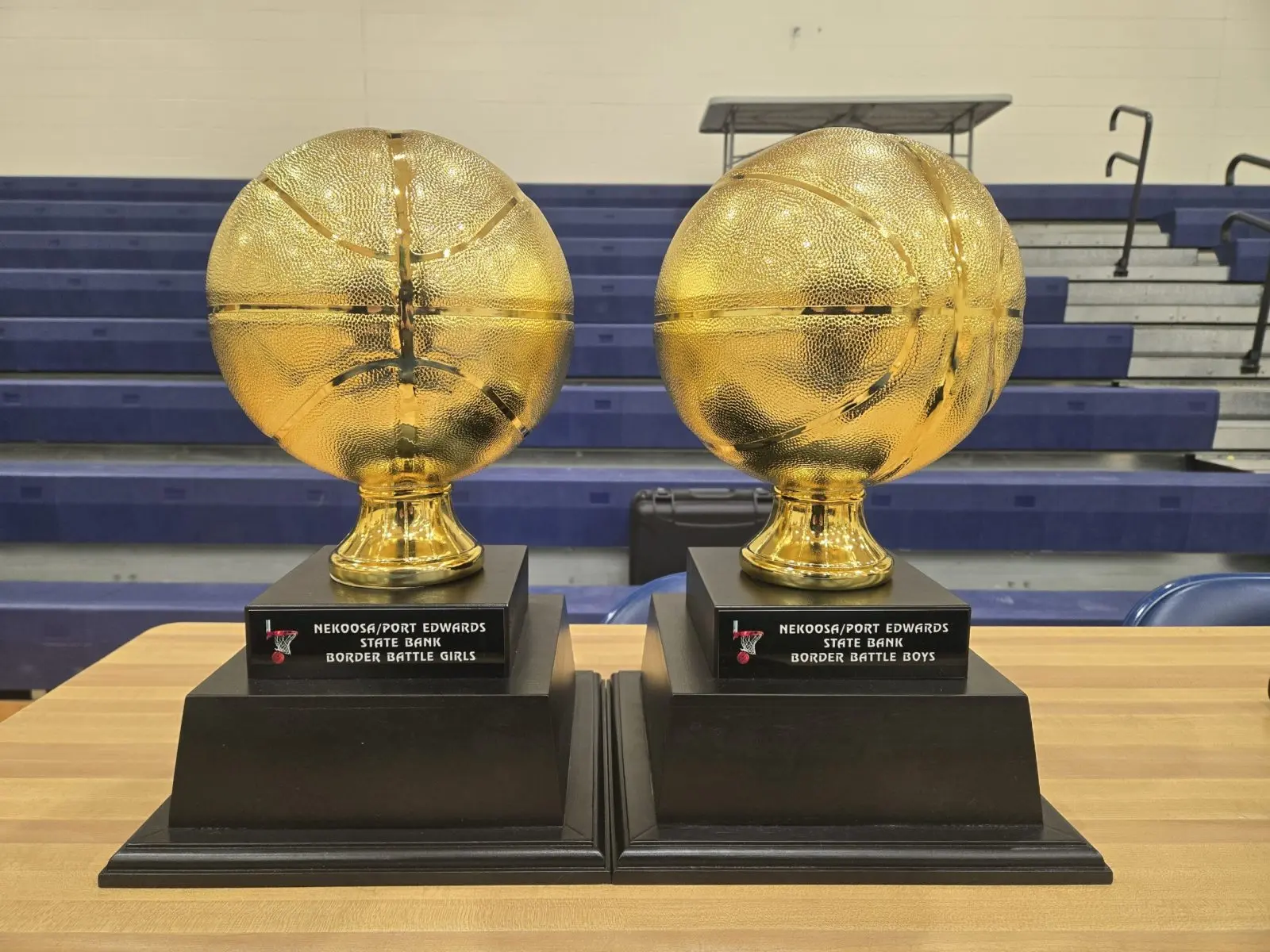 Nekoosa hoops sweep rivalry. Riverkings return home. NFL playoffs near completion.