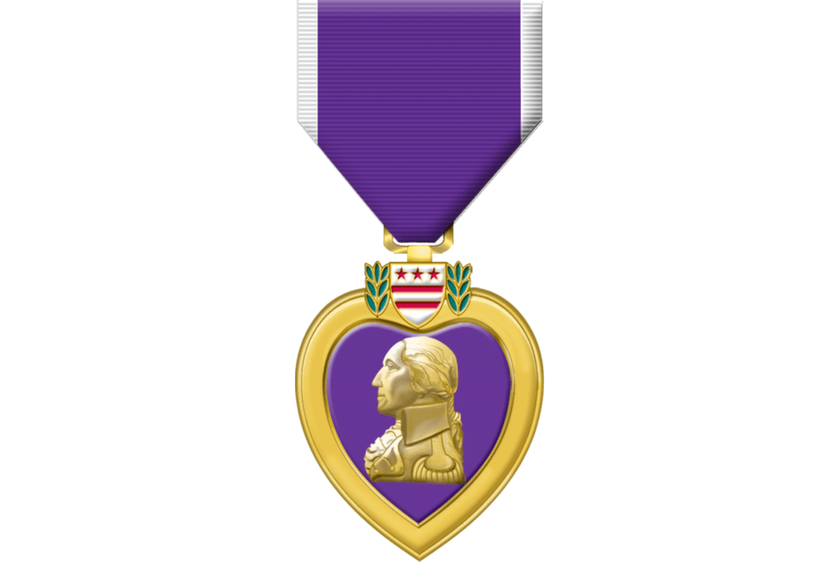 City of Wis Rapids Purple Heart City Ceremony